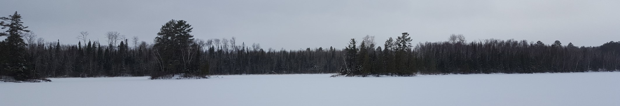 Frozen lake with trees